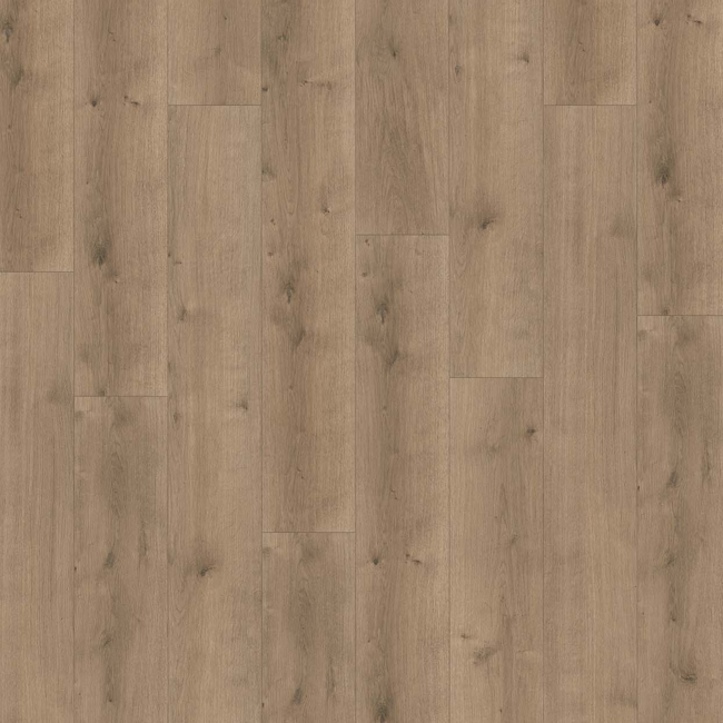 Bild von Designboden 'Modular ONE' Eiche Pure perlgrau 8 mm