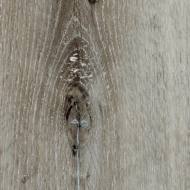 Bild von Vinylboden Silver Oak eichefarben hell 3,5 mm