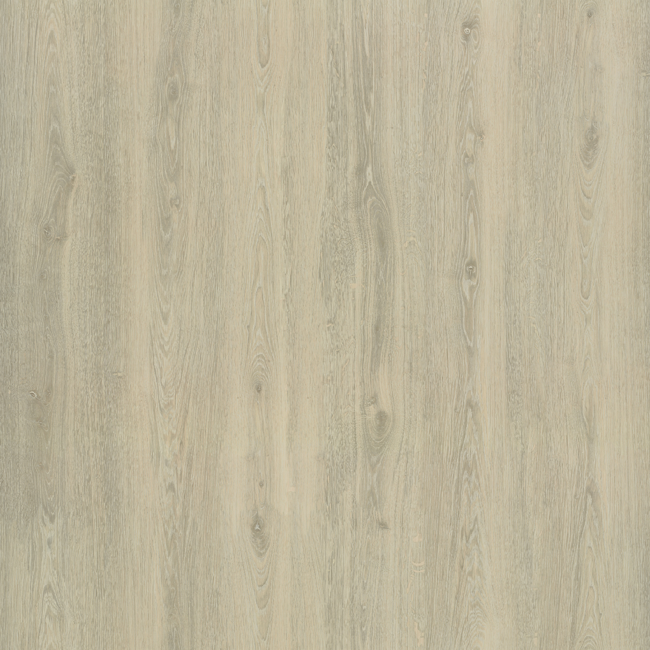 Bild von Vinylboden 'Comfort' Polar Oak beige, grau 10,5 mm