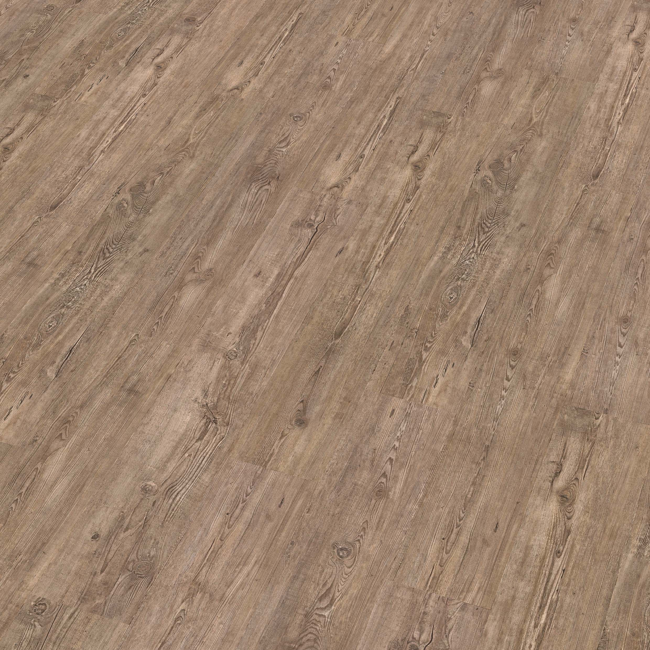 Bild von Vinylboden 'Comfort' Tuscan Pine graubraun 10,5 mm