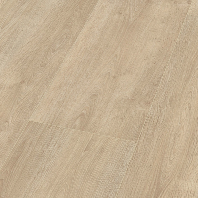Bild von Laminat 'Dynamic XL' Eiche Chiaro hellbraun 8 mm