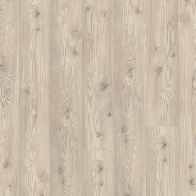 Bild von Laminat 'Basic 400' Baltic Pinie piniefarben 8 mm