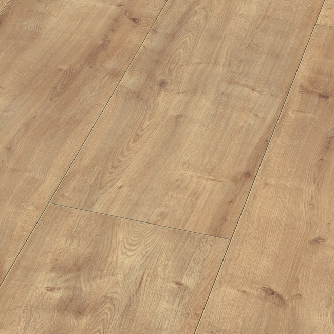 Bild von Laminat 'Mediterran 4V XL' Eiche Burlington eichefarben 8 mm