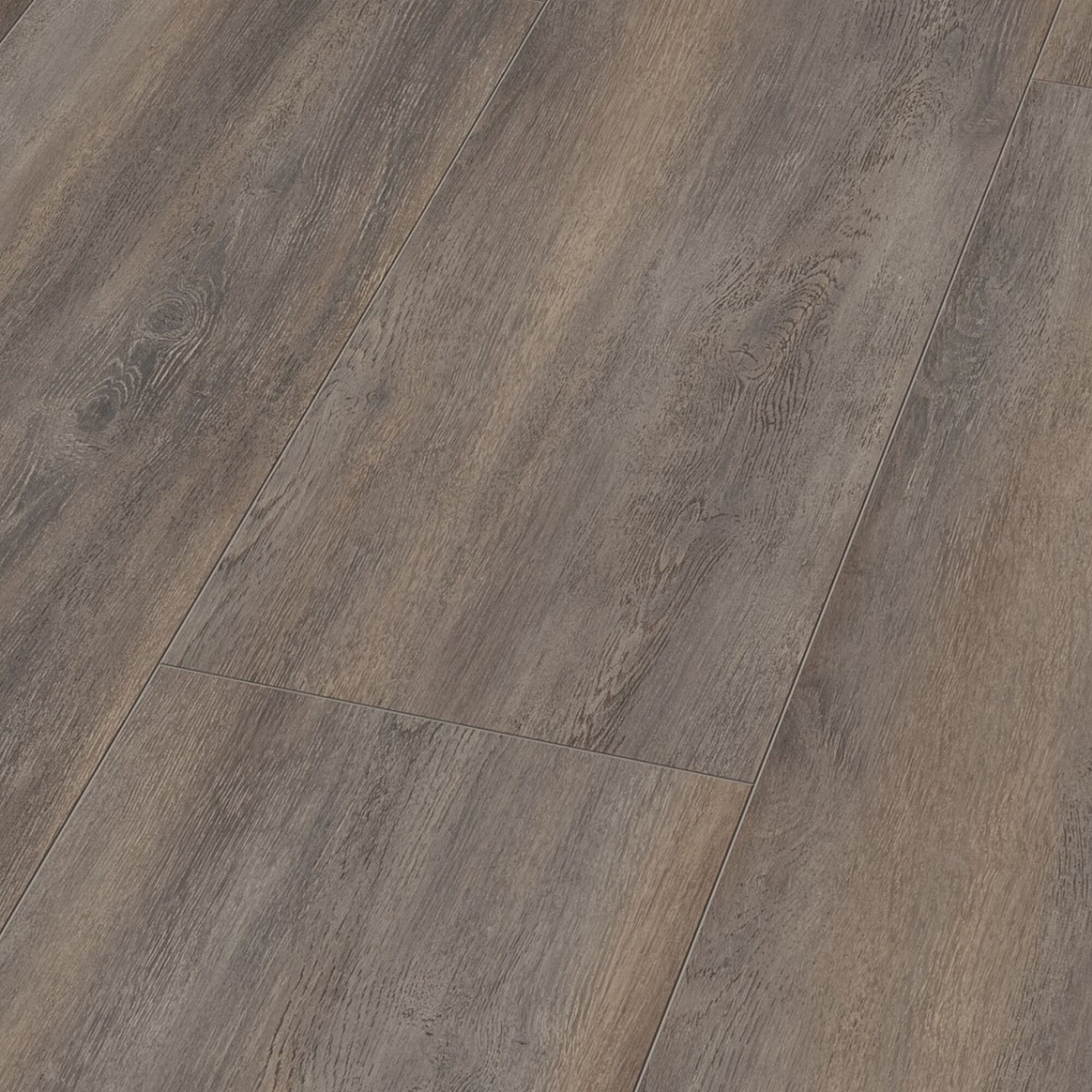 Laminat Canyon Eiche XL