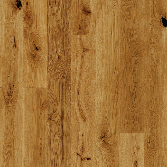 Bild von Parkett 'Basic 11-5' Eiche matt braun 11,5 mm