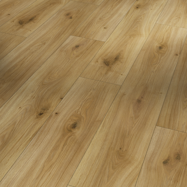 Bild von Laminat 'Basic 400' Eiche Horizont Natur eichefarben 8 mm