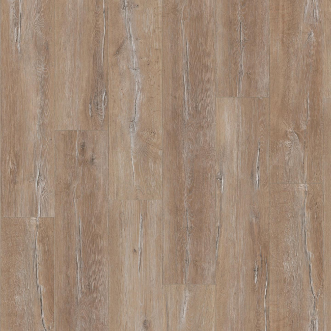 Bild von Laminat 'Dynamic' Alteiche Guayana dunkelbraun 8 mm