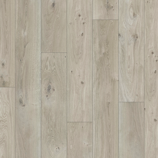 Bild von Laminat 'Basic 200' Eiche natur grau 7 mm