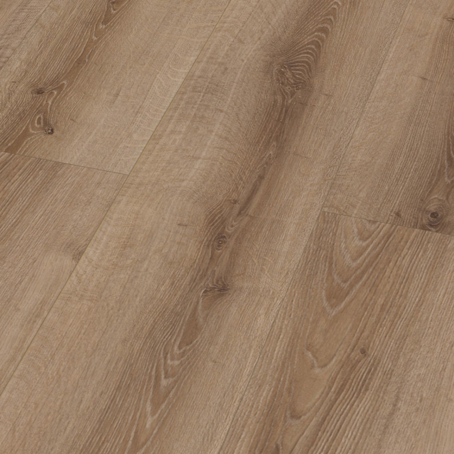 Bild von Laminat 'Extravagant Dynamic XXL'' Eiche Natur braun 8 mm