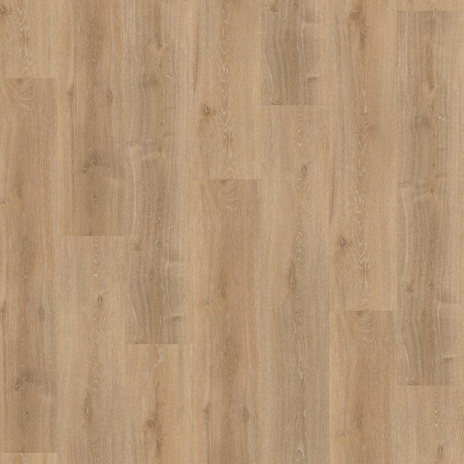 Bild von Vinylboden 'Basic 4.3' Eiche Royal hell gekälkt braun 4,3 mm