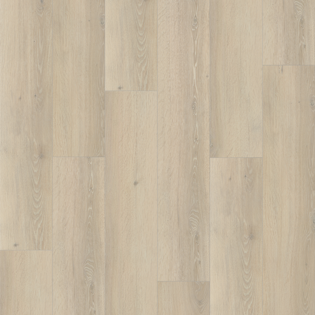 Bild von Vinylboden 'Basic 4.3' Eiche Skyline weiß 4,3 mm
