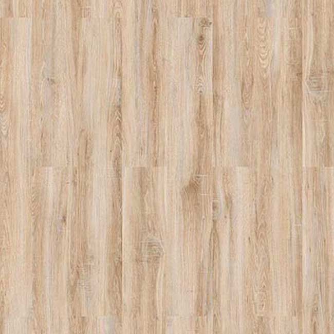 Bild von Laminat 'Scandinavia 4V' Eiche Esperanza hellbraun 7 mm