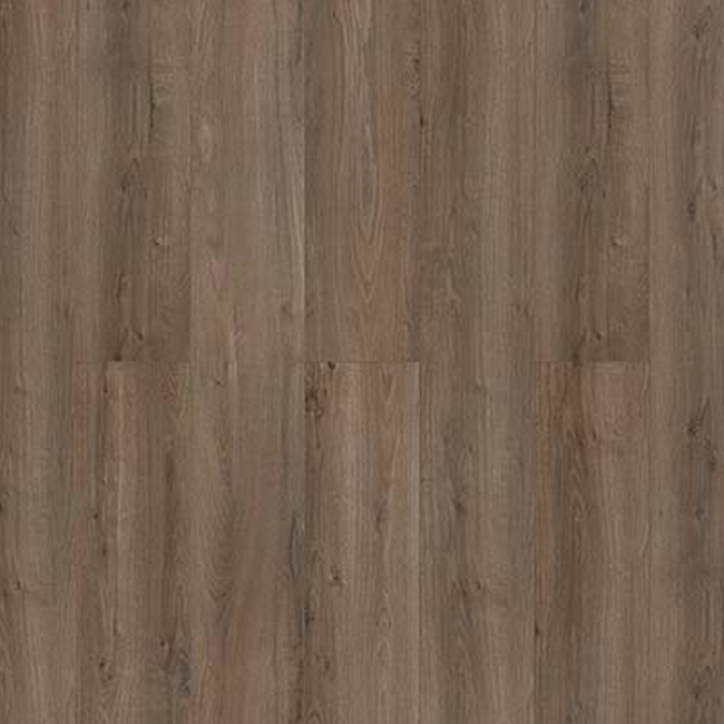 Bild von Laminat 'Savanne' Eiche Bodman graubraun 7 mm