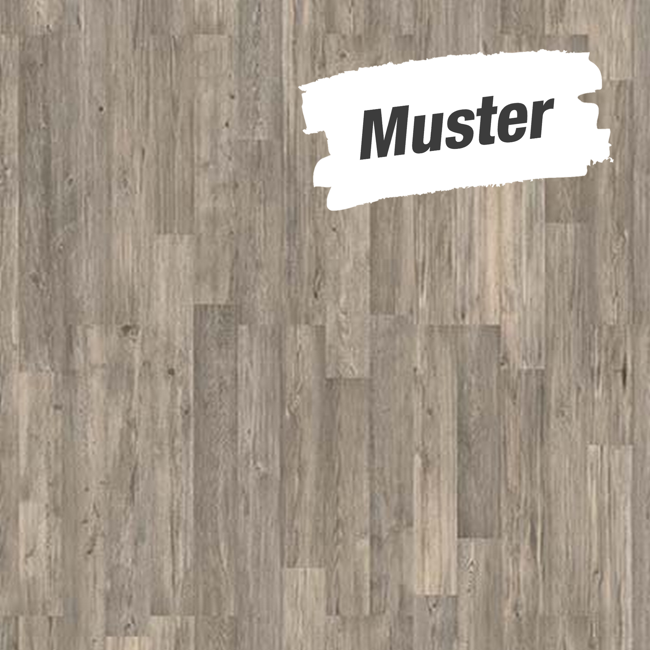 Bild von Muster zum Laminat 'Scandinavia' Seekiefer graubraun 7 mm