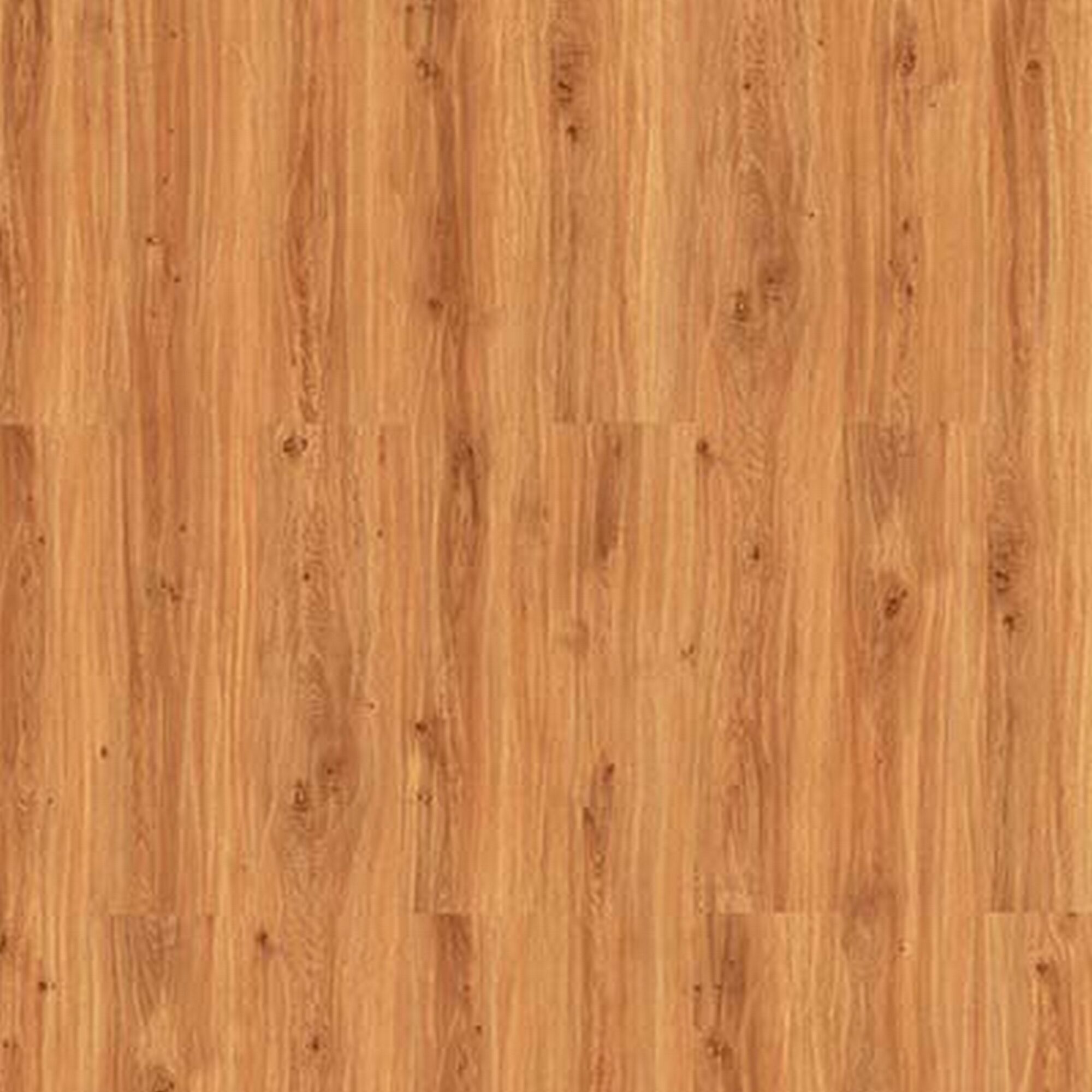 Hellbraunes Laminat Montana Nahaufnahme