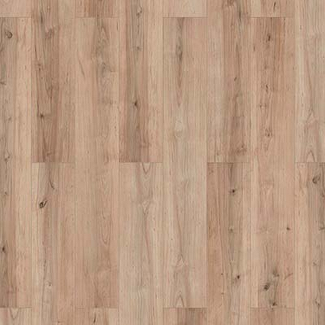 Bild von Laminat 'Mediterran 4V' Drayton erlenfarben 8 mm