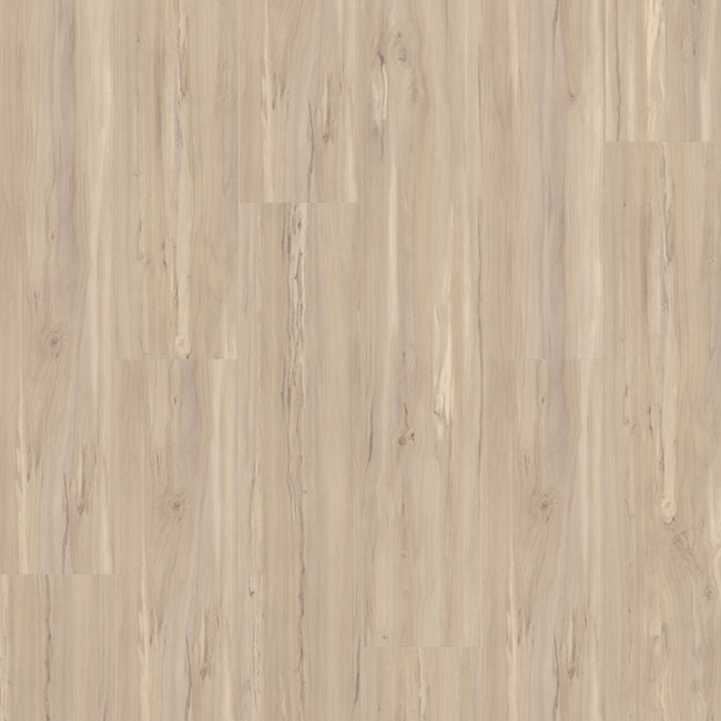 Bild von Vinylboden 'Basic' Wildapfel gebleicht braun 9,1 mm