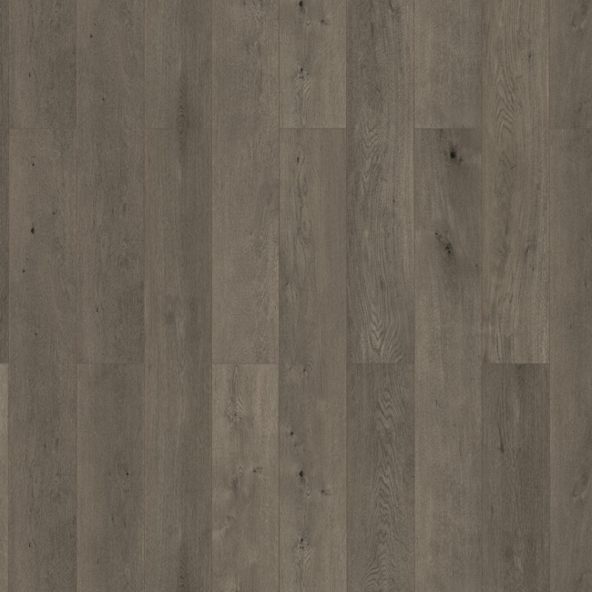 Bild von Vinylboden 'Greenvinyl' Steineiche dunkelbraun 4 mm