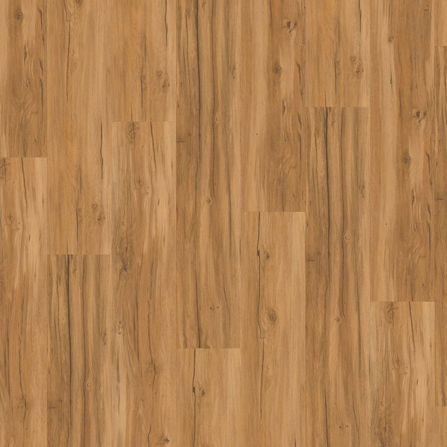 Bild von Vinylboden 'Basic 4.3' Eiche Memory natur braun 4,3 mm