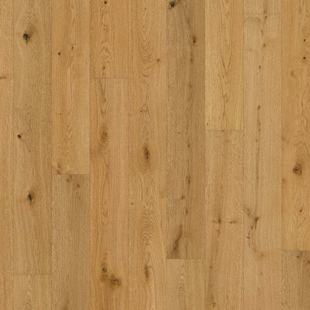 Parkett 'Classic 3060' Eiche naturgeölt plus braun 13 mm