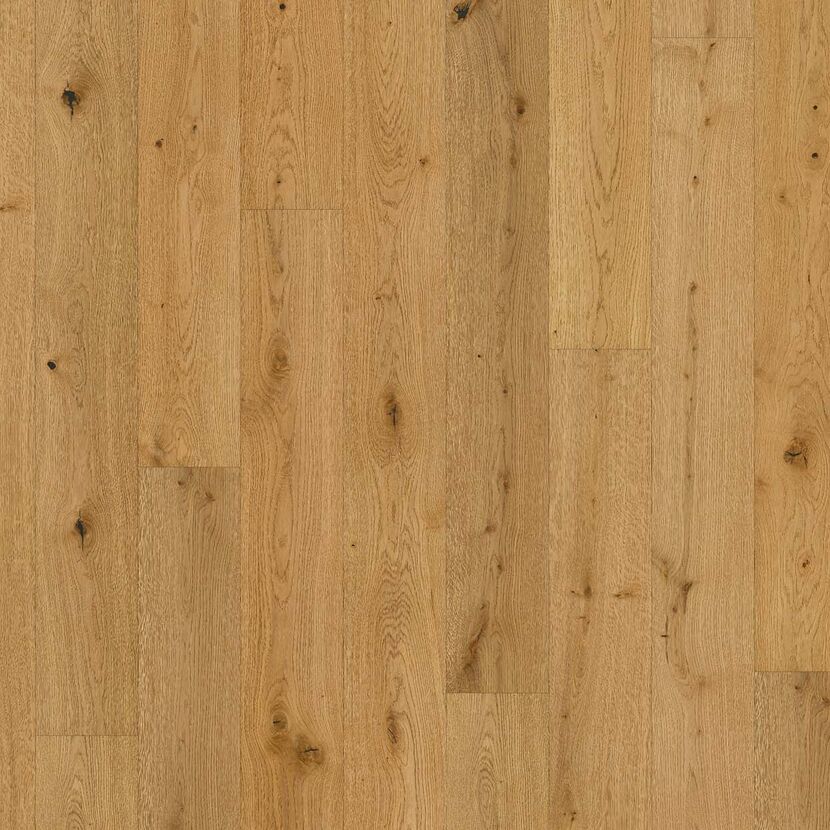 Parkett 'Classic 3060' Eiche naturgeölt plus braun 13 mm