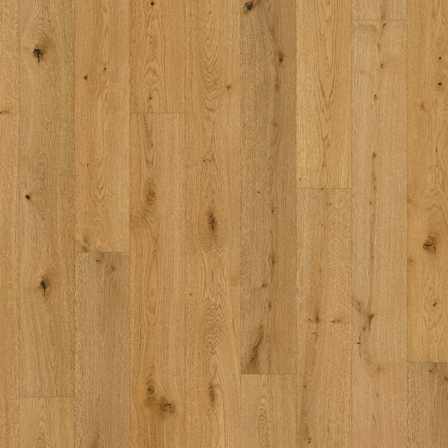 Bild von Parkett 'Classic 3060' Eiche naturgeölt plus braun 13 mm