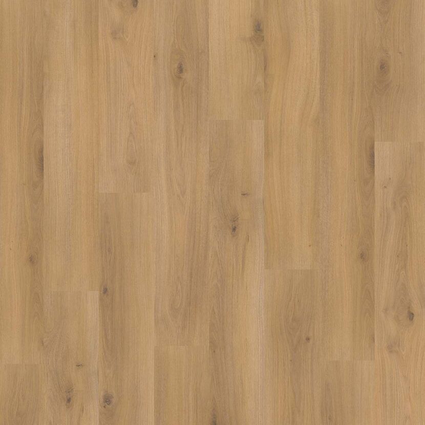 Laminat 'Basic 400' Eiche Horizont Natur eichefarben 8 mm