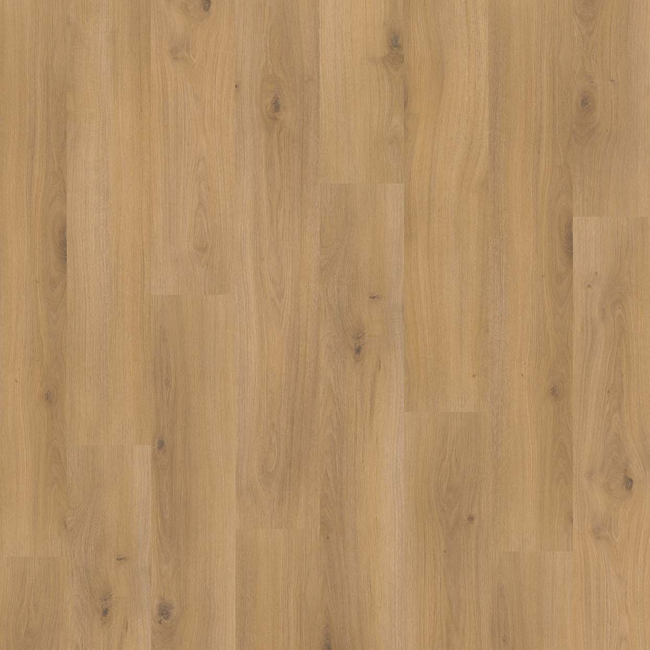 Bild von Laminat 'Basic 400' Eiche Horizont Natur eichefarben 8 mm