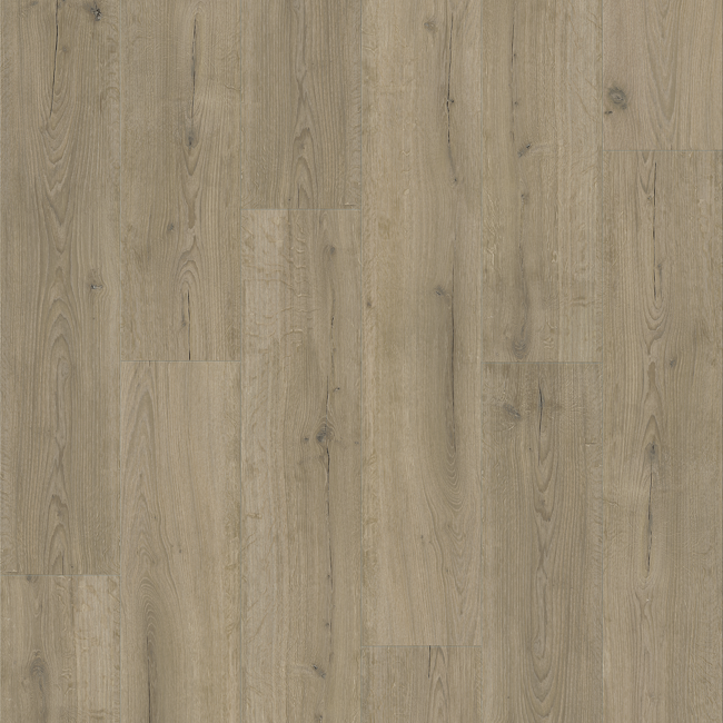 Bild von Vinylboden 'Vinyl Basic 4.3' Eiche Infinty grau 4,3 mm