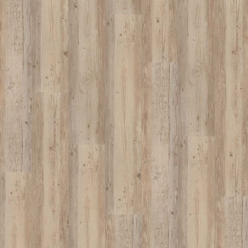 Vinylboden 'Basic 4.3' Pinie Weiß Geölt grau 4,3 mm