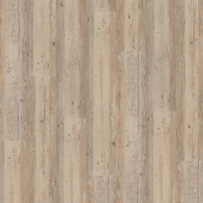 Bild von Vinylboden 'Basic 4.3' Pinie Weiß Geölt grau 4,3 mm