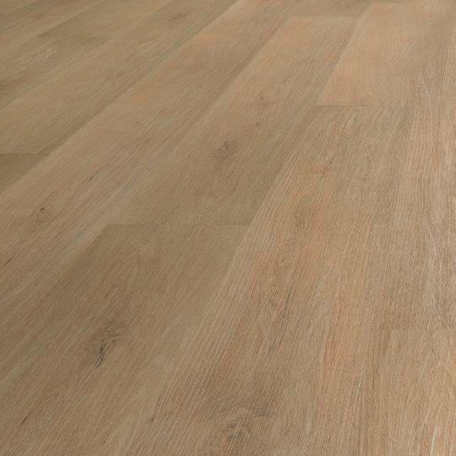 Bild von Vinylboden Scandic Oak eichefarben 3,5 mm