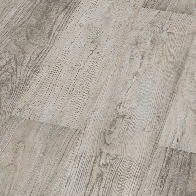 Bild von Laminat 'Joy' Prato Elm hellgrau 8 mm