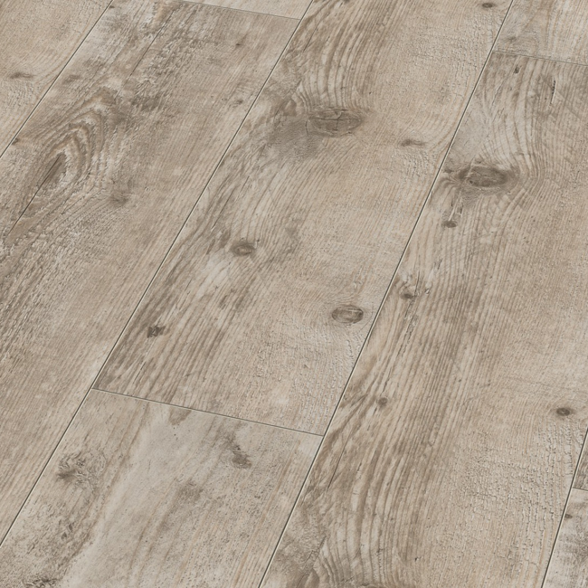 Bild von Laminat 'Galaxy 4V' Bodeaux Pine hellgrau 8 mm
