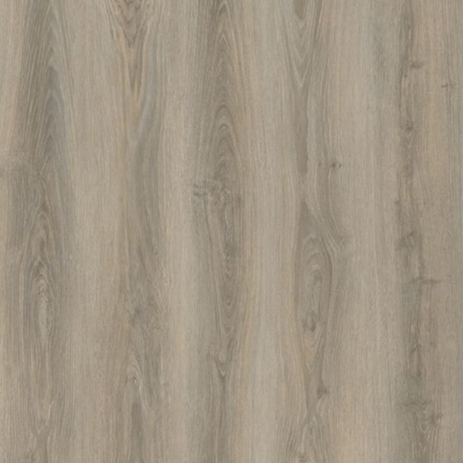 Bild von Vinylboden 'Glacia Oak' Glacia Oak eichefarben 3,5 mm