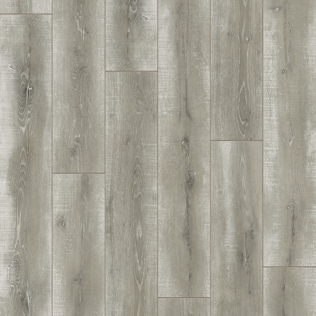 Bild von Laminat 'Basic 200' Eiche Vintage grau 7 mm
