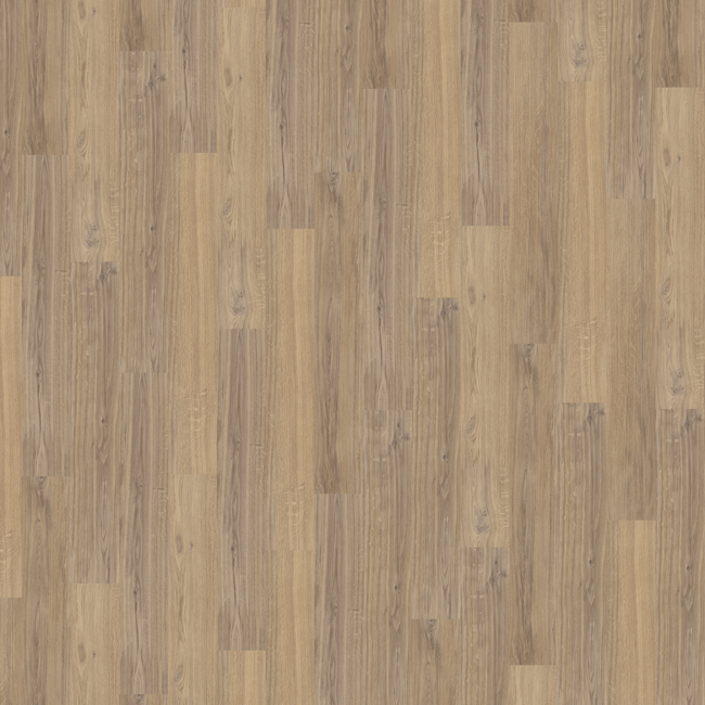 Bild von Vinylboden 'Comfort' Laguna Oak creme 10,5 mm