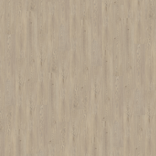 Bild von Vinylboden 'Comfort' Light Pastel Oak naturgrau 10,5 mm