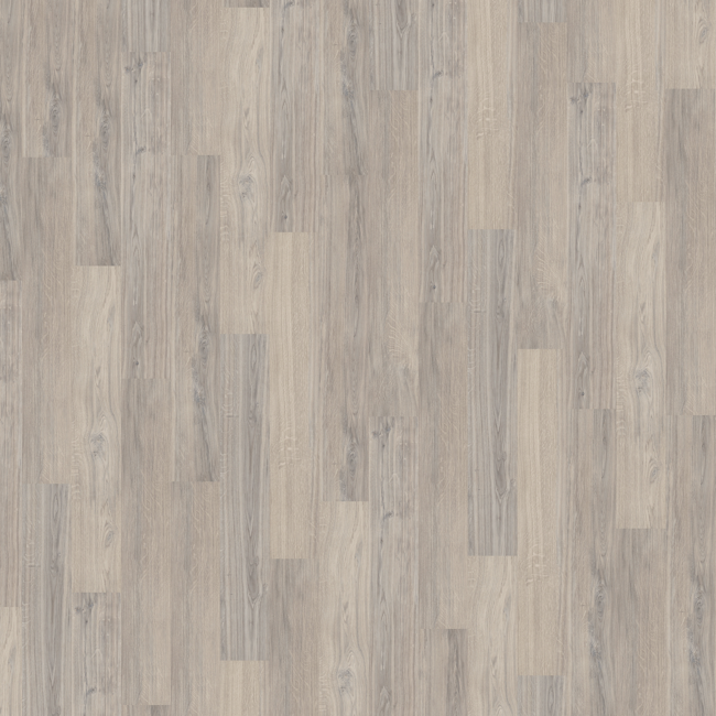 Bild von Vinylboden 'Comfort' Oiled Blossom Oak grau 10,5 mm