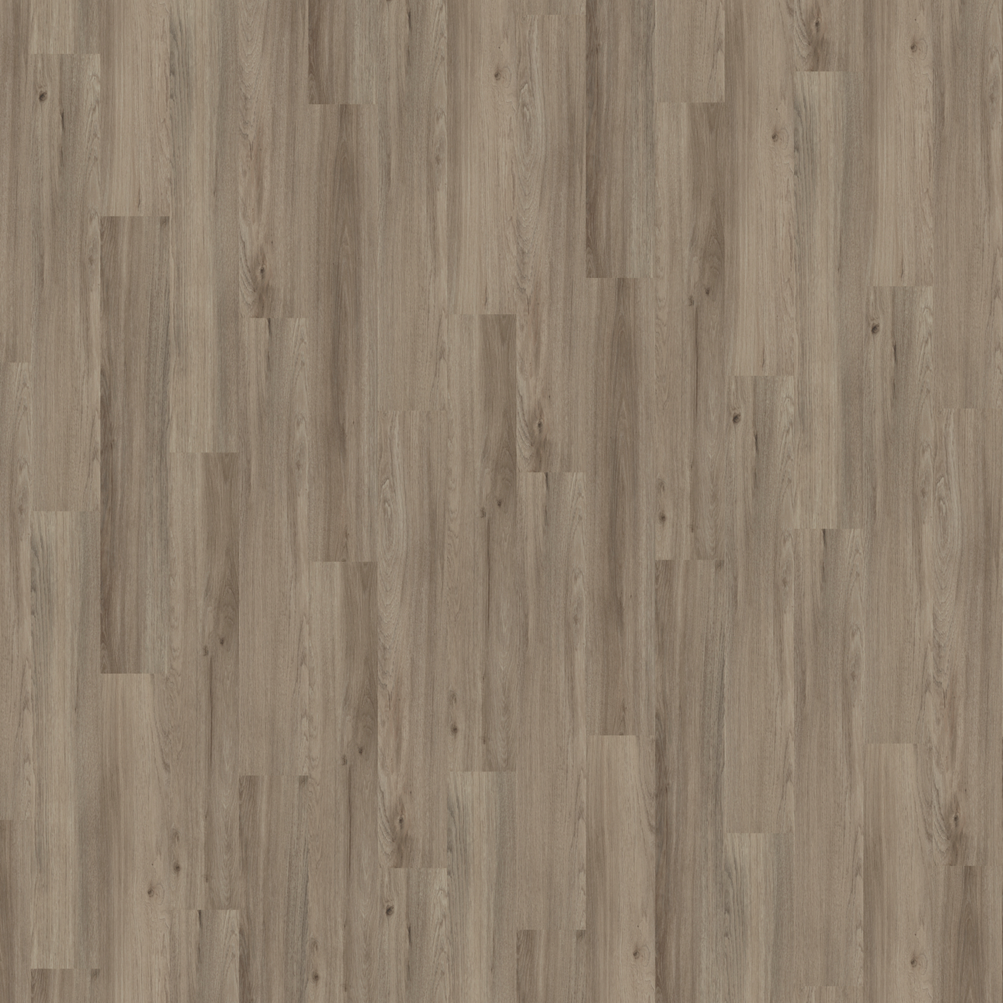 Vinylboden 'Nature' Ash Oak dunkelgrau 10,5 mm + product picture