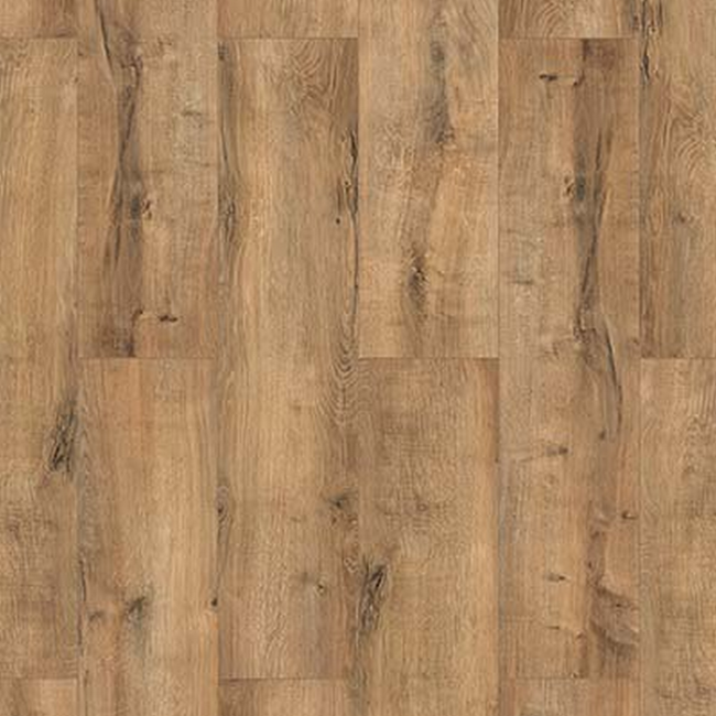 Bild von Laminat '832-4 WR' Eiche naturgrau eichefarben braun 8 mm