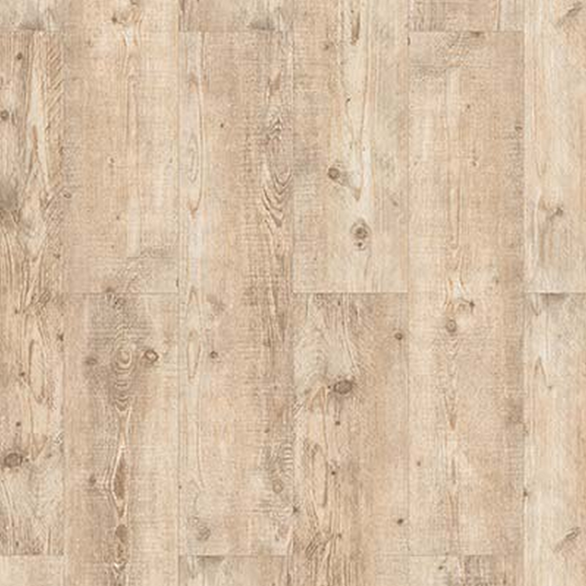 Bild von Laminat '832-4 WR' Pinie creme 8 mm