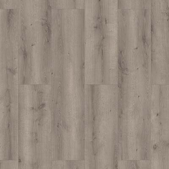Bild von Laminat '832-4 WR' Eiche graubraun 8 mm