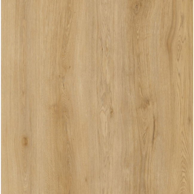 Bild von Vinylboden 'Riverton Oak' Riverton Oak eichefarben 3,5 mm