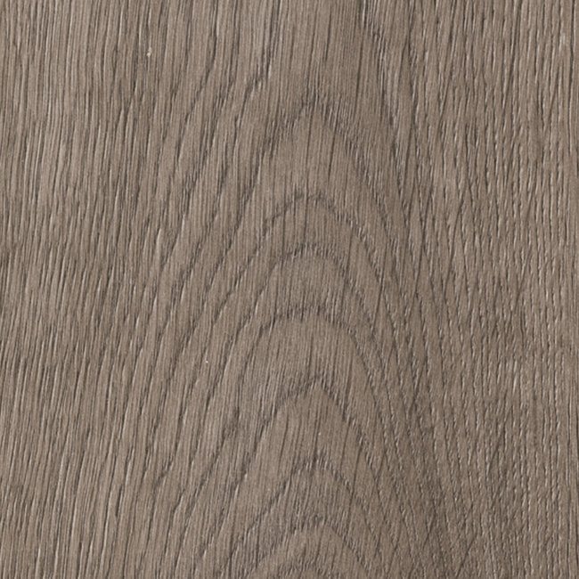 Bild von Laminat 'San Diego Oak' San Diego Oak braun 8 mm