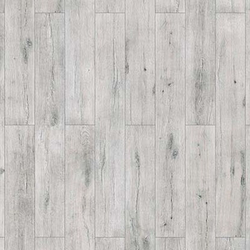 Laminat Neo Elm Silvergrau