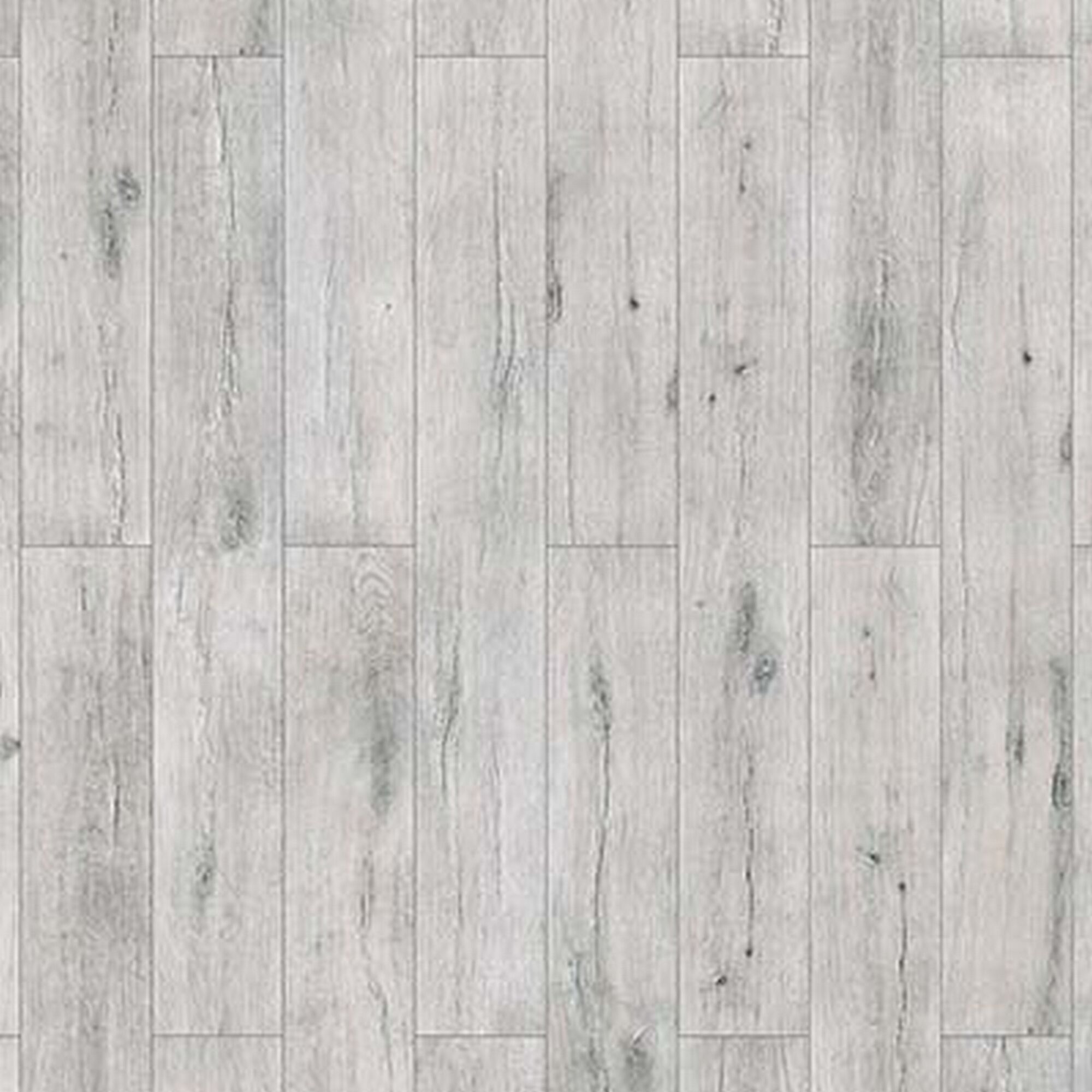 Laminat Neo Elm Silvergrau