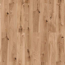 Verkleinertes Bild von Vinylboden 'NEO 2.0 Wood' Canadian Summer Oak hellbraun 4,5 mm