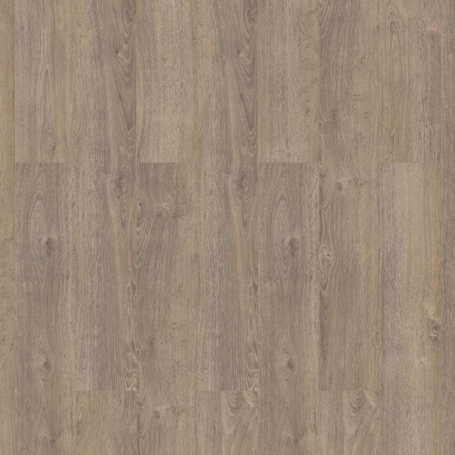 Bild von Laminat 'Dynamic' Eiche Grigio grau 8 mm