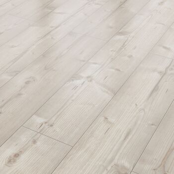 Laminat 'Neutral' Pinie weiß 8 mm